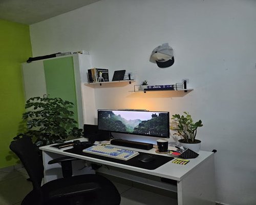 Organized desk with a small green plant and a warm LED lamp